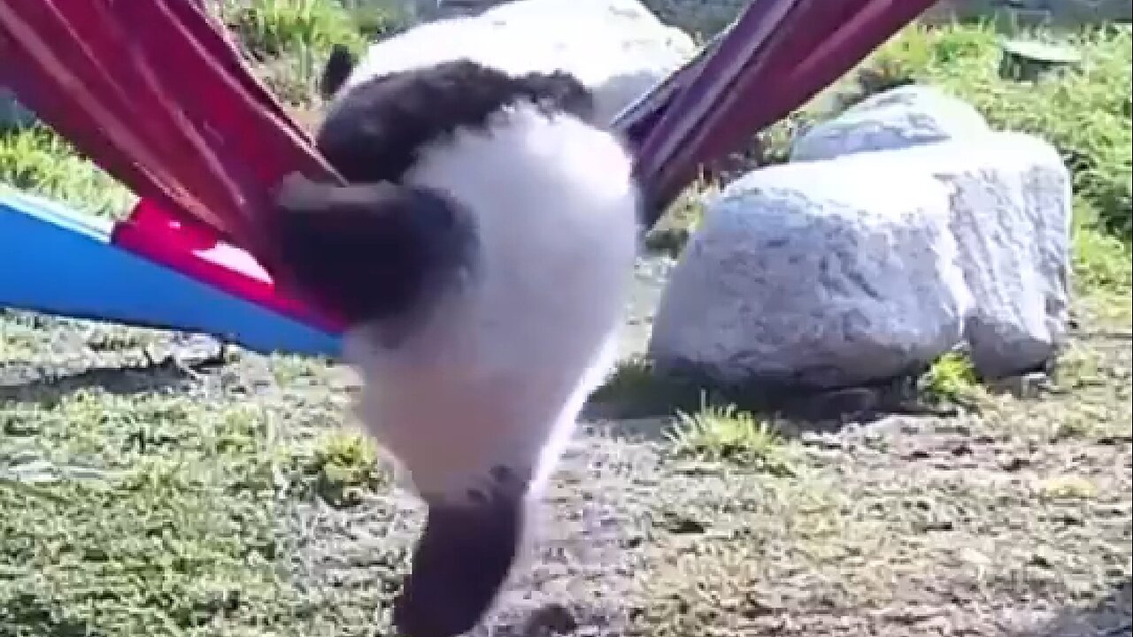 COMMITMENT ON TRIAL - DAILY DEVOTIONAL ❤️