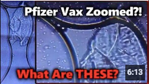"Microscopic Analysis of Pfizer Vaccine: Presence of Living Cells or Organisms?"