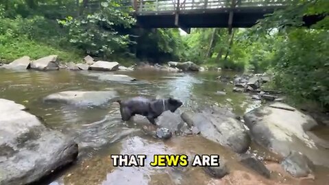 Little look into the “Jew” handbook