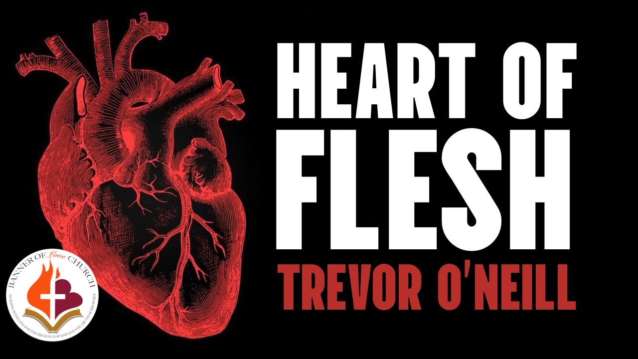 Heart Of Flesh - Trevor O'Neill - March, 23, 25