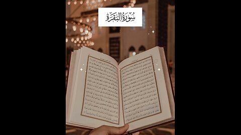 Follow if you love Allah / Surah Al Baqarah Ayat 92 #quran #islam #tafseer #surahbaqarah❤️