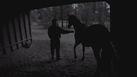 Keeping my horse safe during wicked lightning storm