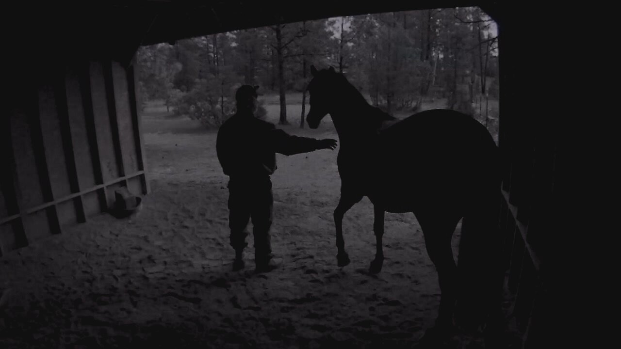 Keeping my horse safe during wicked lightning storm