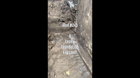 Reel #243 A Leaky Foundation Exposed