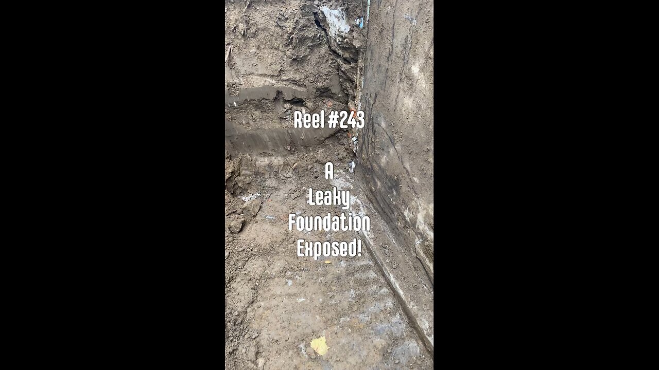 Reel #243 A Leaky Foundation Exposed