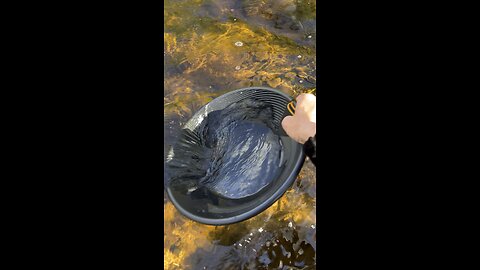 My gold panning technique…needs lots of work!