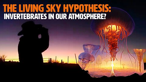 The Living Sky Hypothesis: Invertebrates in Our Atmosphere?