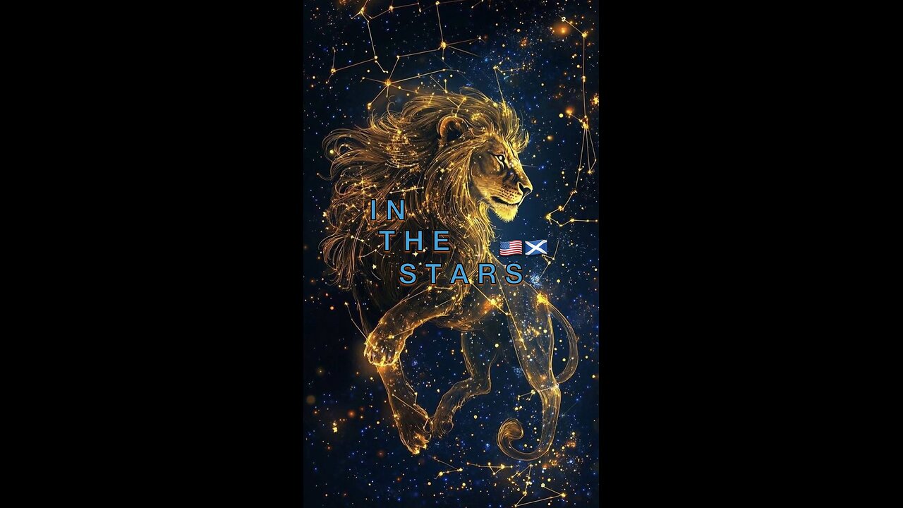 IN THE STARS