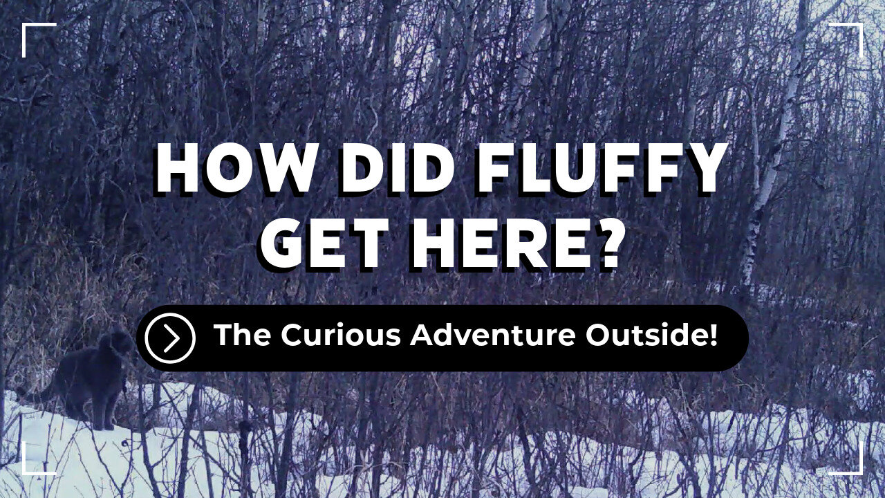 Fluffy?
