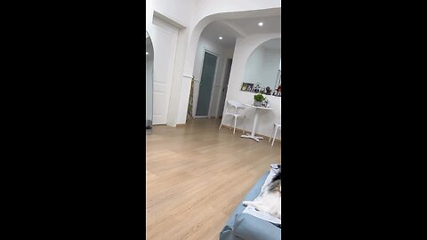 cute Dog