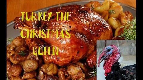 “Peru: Secrets and Curiosities of the Star of Christmas Dinner”