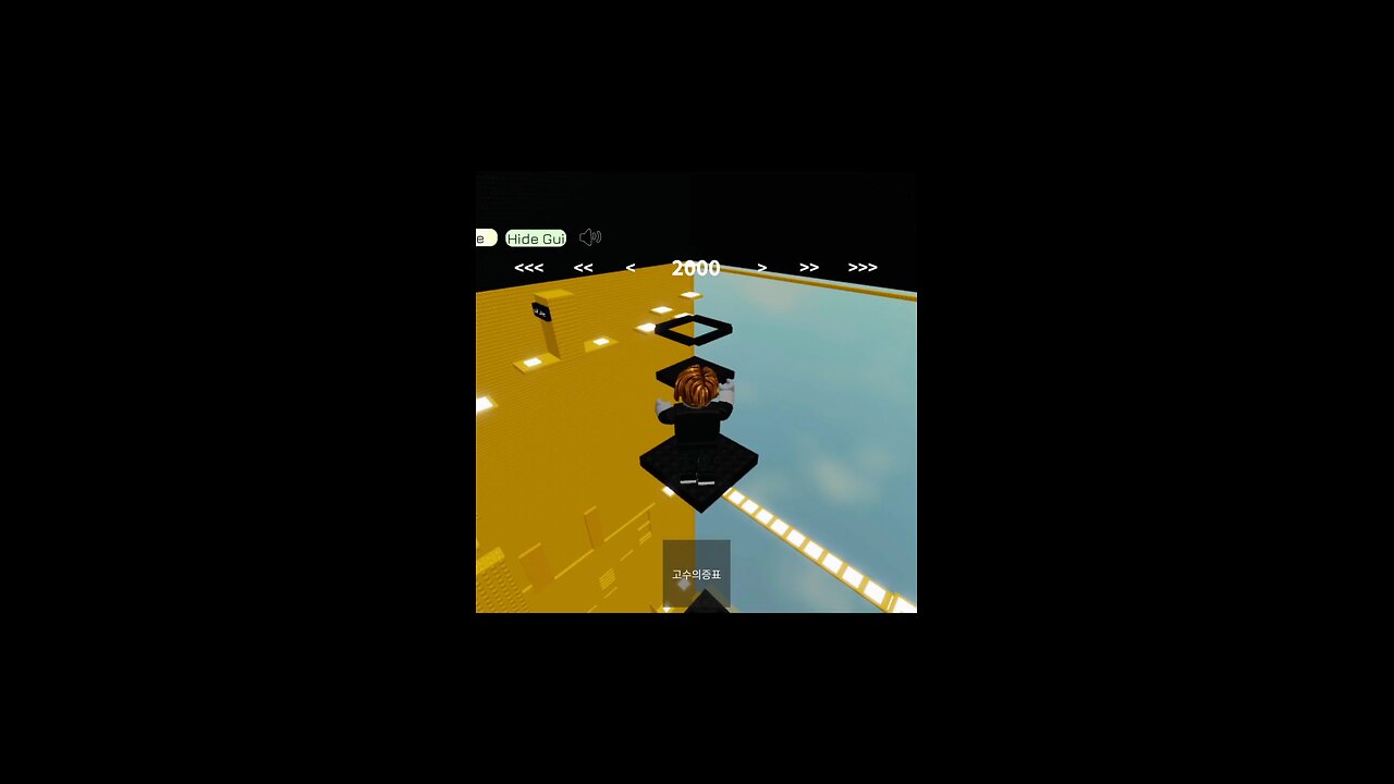 fly