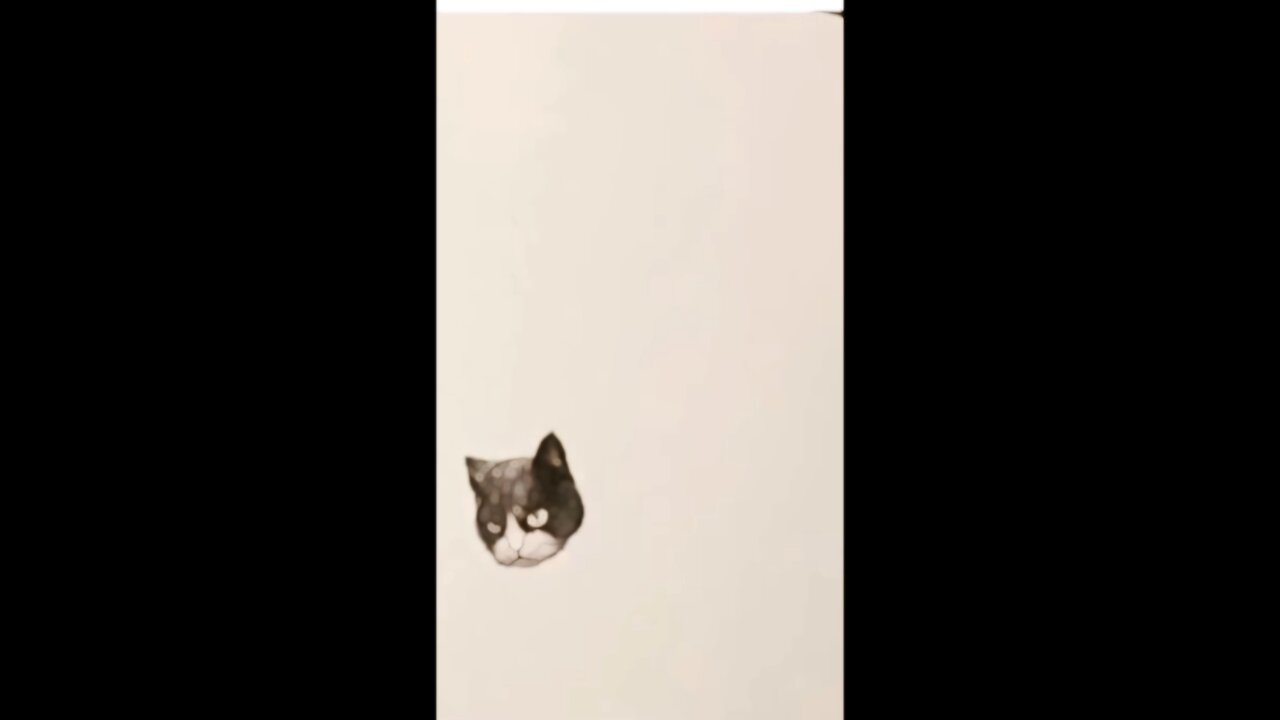 cat memes😂😂 Special for the cat lover or animal lover / enjoy and laugh