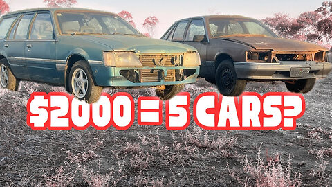 I BOUGHT 5 CARS FOR $2000! WAS IT A BAD IDEA?
