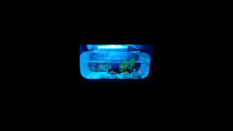 Aquascape #2