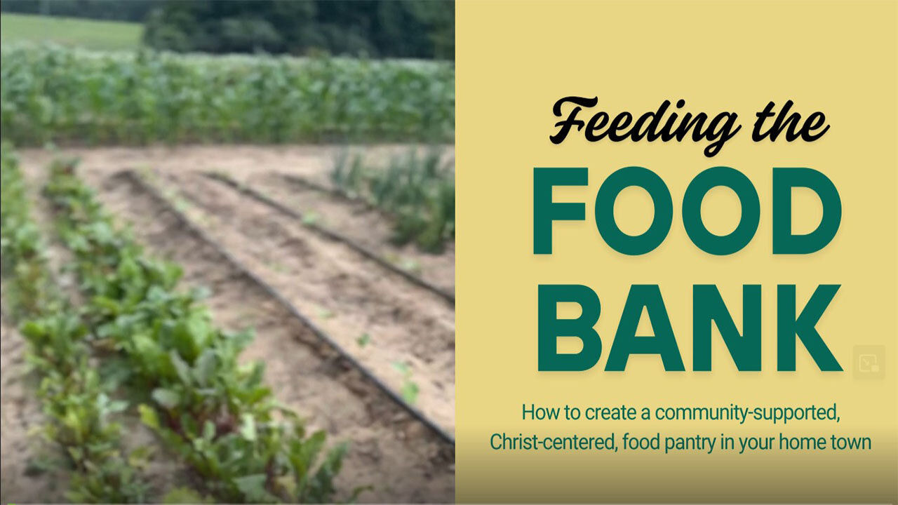 The AMEN La Grange Food Pantry Model