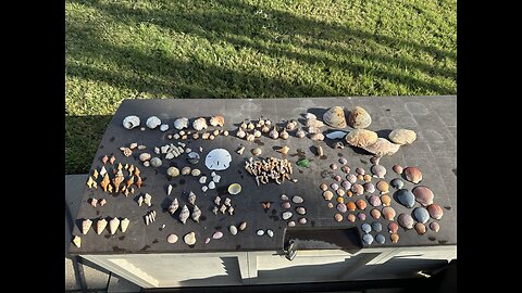 Beach Finds 3/28/2025 | 4K