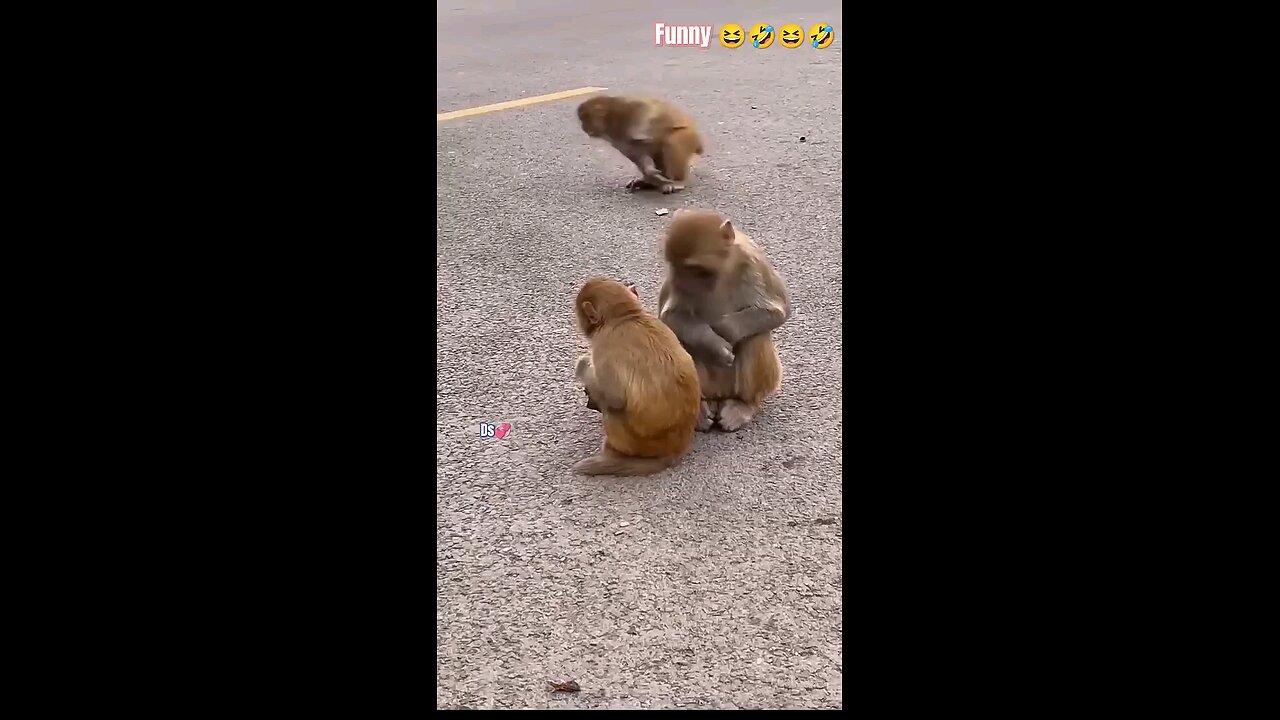 satisfying Video