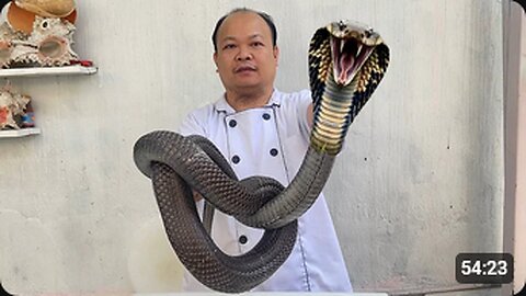 best cooking recipe 1 king cobra, vietnamese food __ best cooking