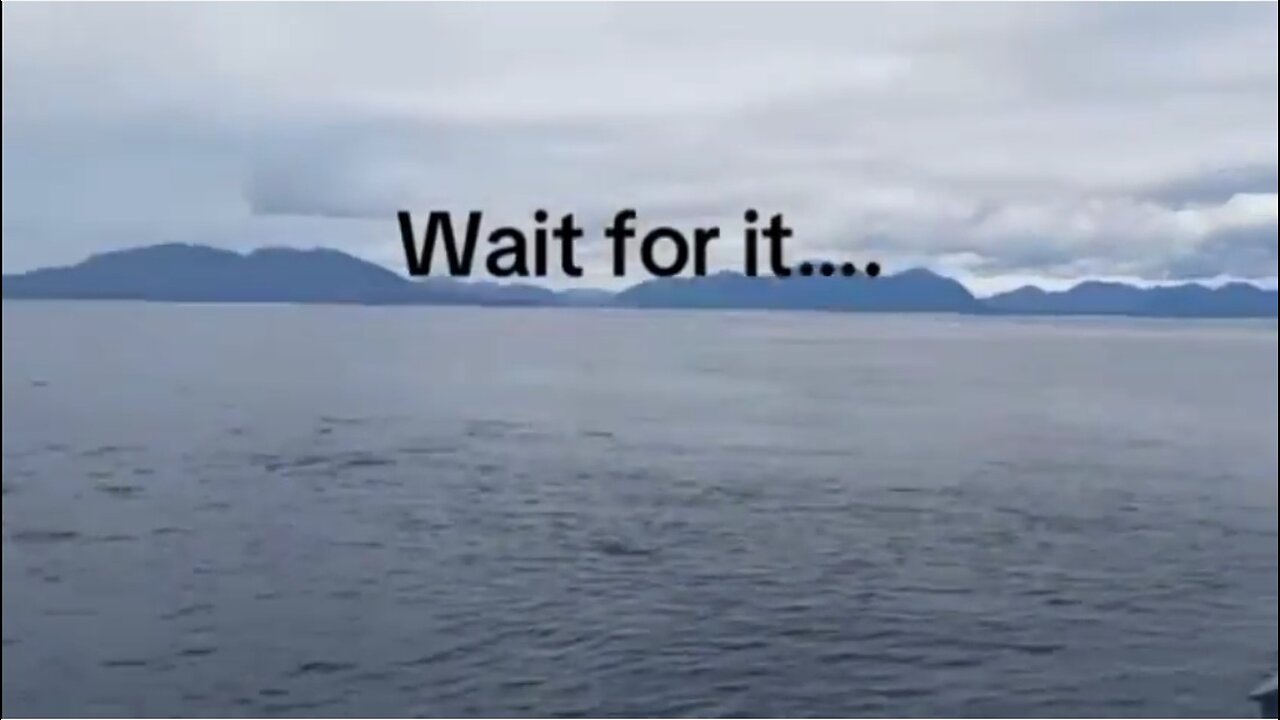 Wait For It. . . . .