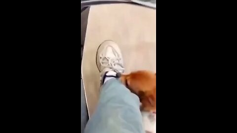 Bite!