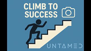 Tommy Untamed | Journey to Success