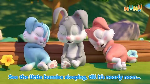 Bunnies 🐻