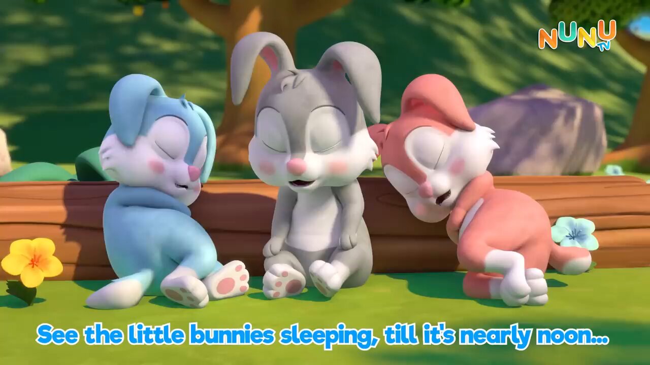Bunnies 🐻