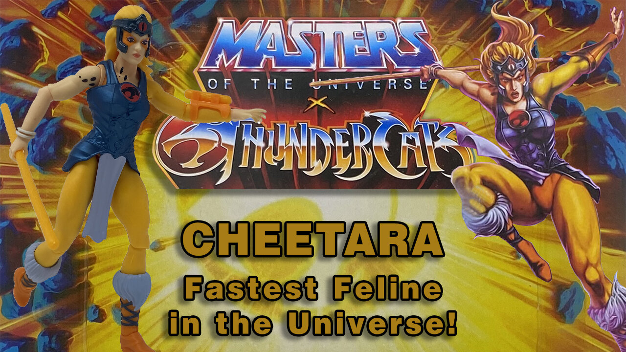 Cheetara - Masters of the Universe X Thundercats Unboxing & Review