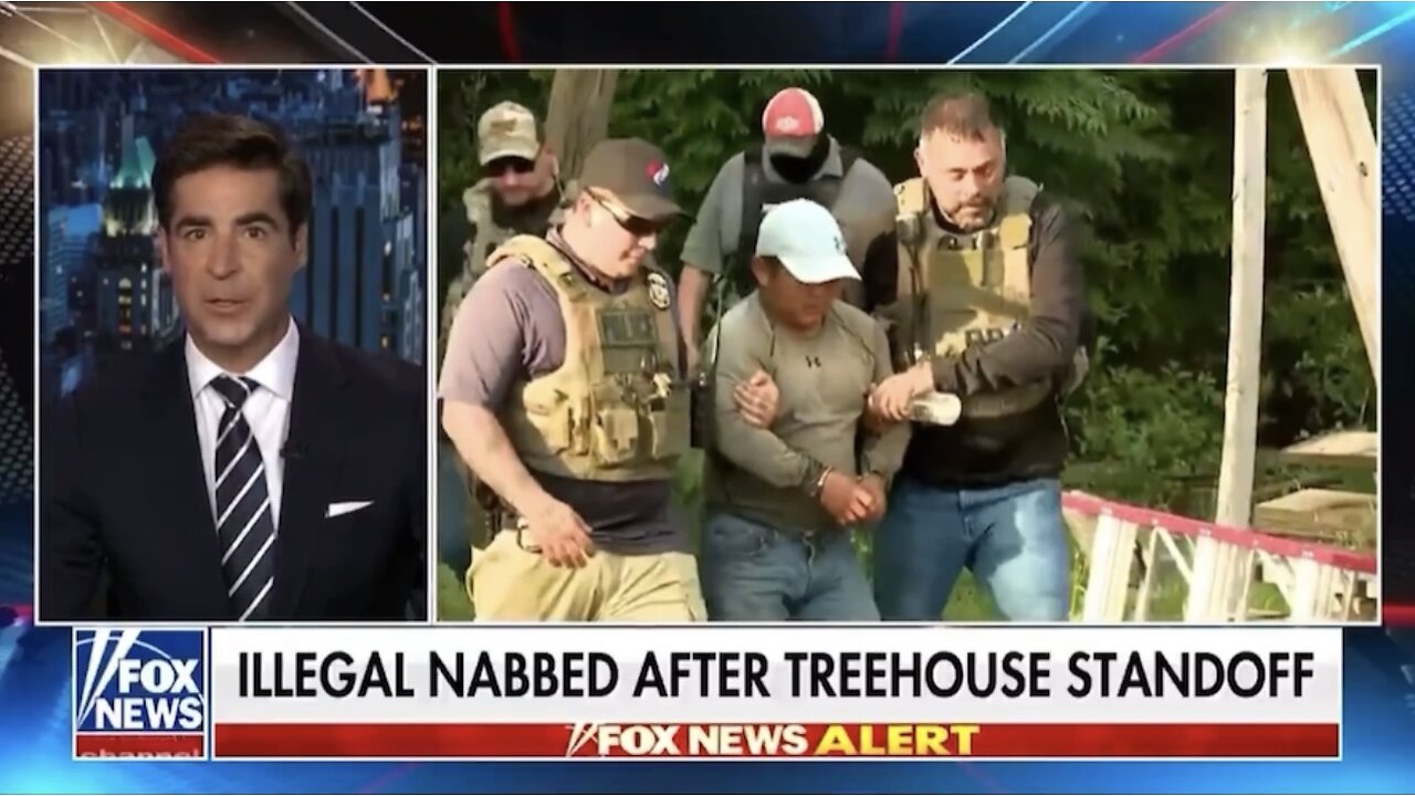 Raul, the tree-climbing illegal, has come down from his hiding spot after 7 hours of hiding from ICE