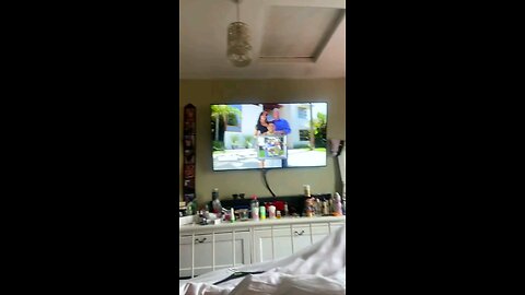 Funny Animals
