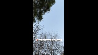 Incoming Psyop on 31st of August? 🇦🇺