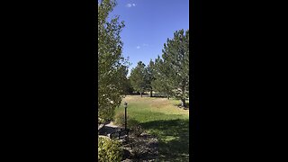 Windy outside