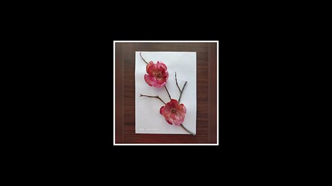 Beautiful Decorative flowers
