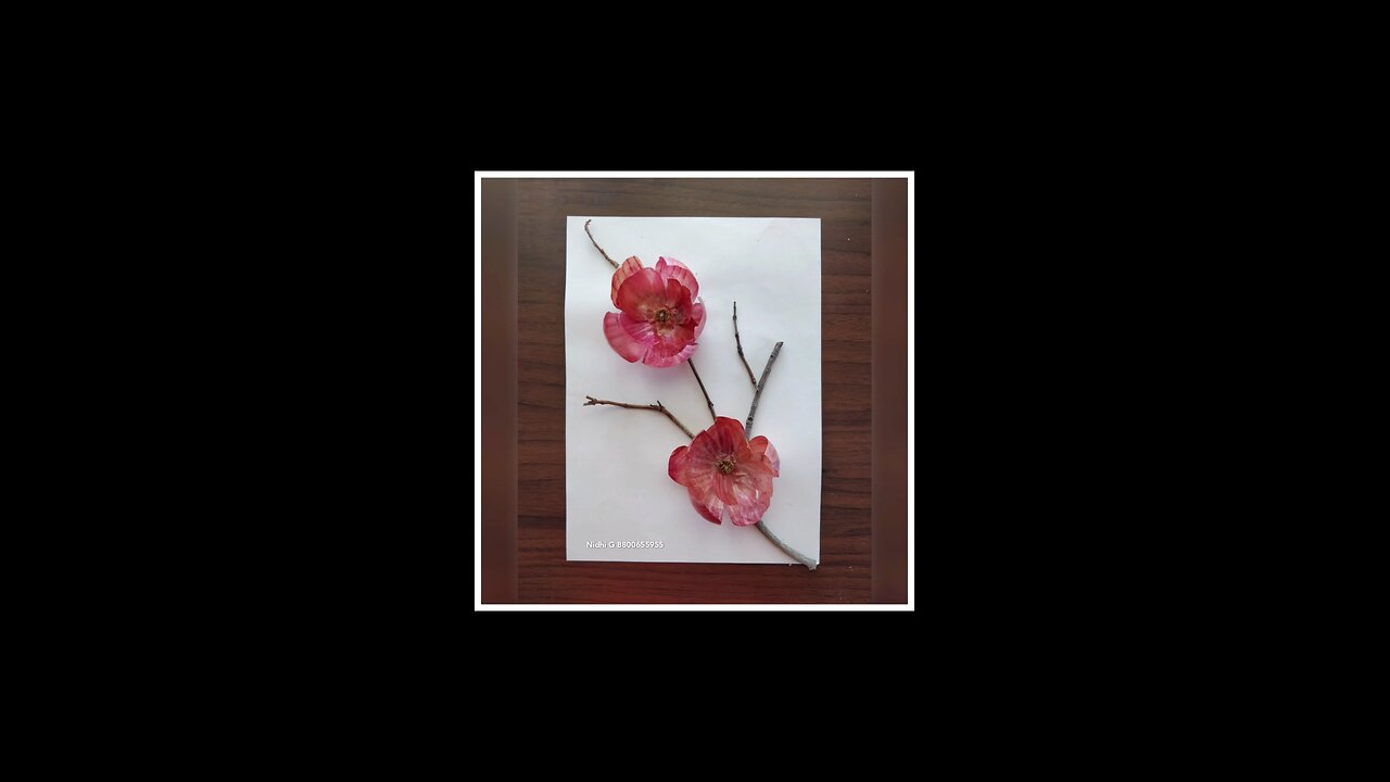Beautiful Decorative flowers