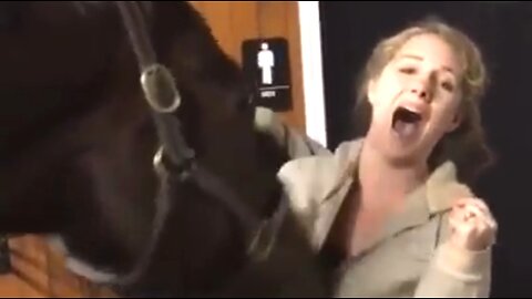 WORSHIP AT CHRISTMAS - DAILY DEVOTIONAL ❤️