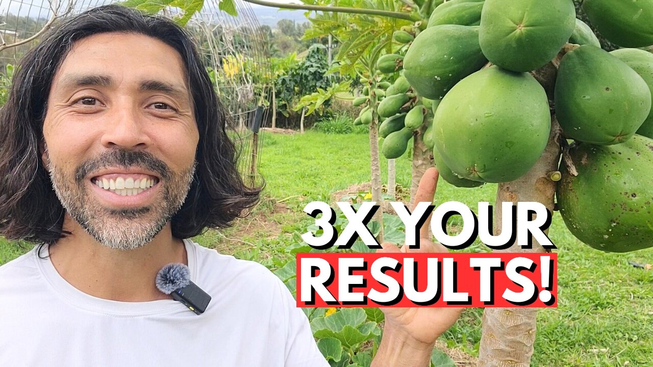 I Was Growing WIMPY Papayas Until I Stumbled Upon ONE Rotten Secret!