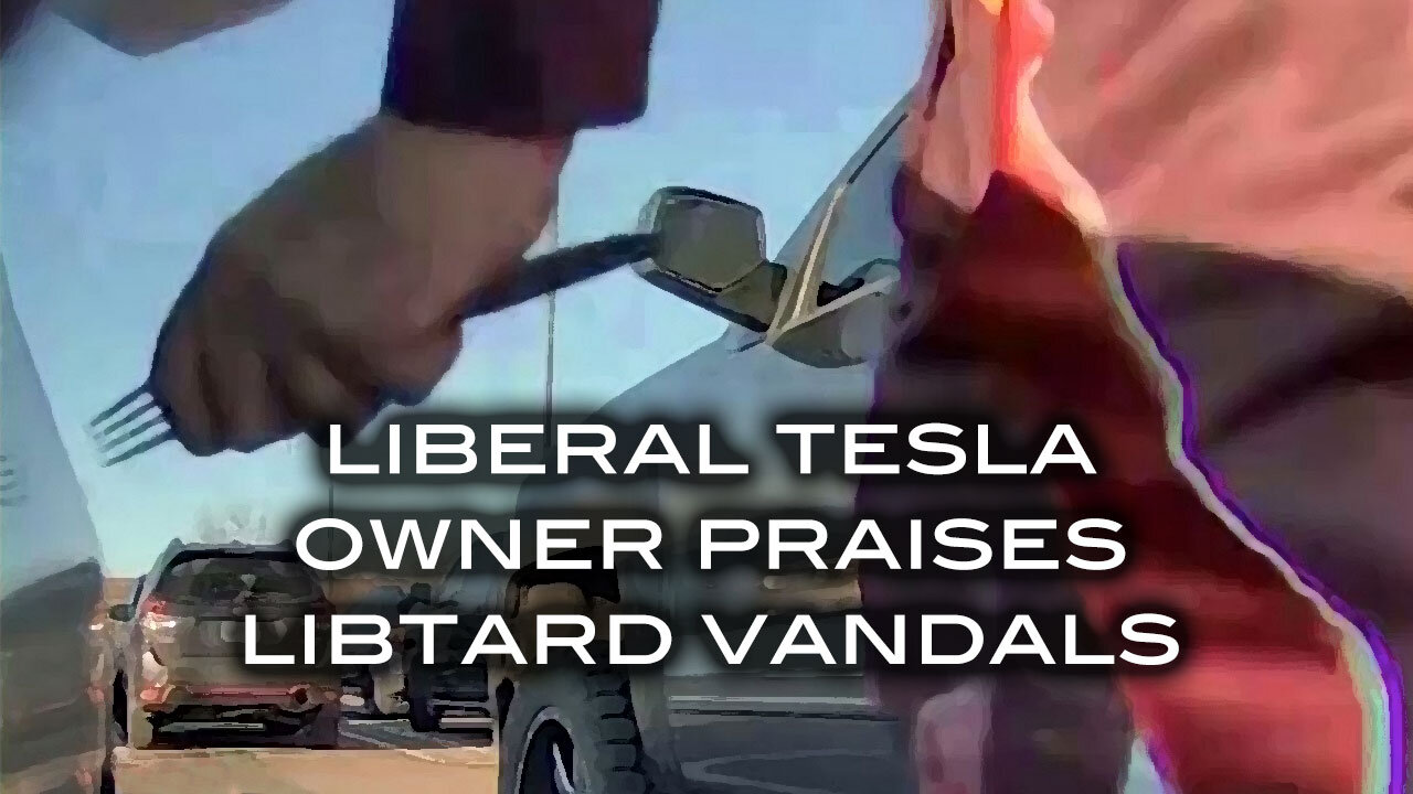 Liberal Tesla Owner Praises Libtard Vandals