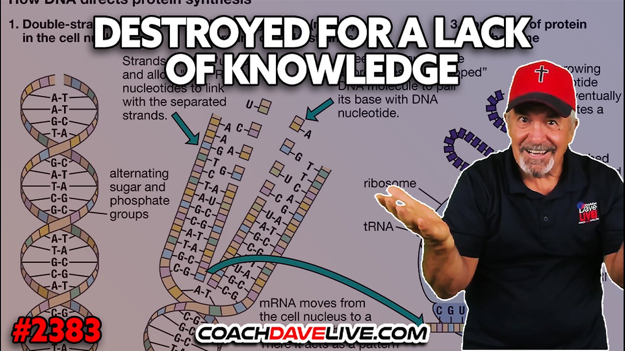 DESTROYED FOR A LACK OF KNOWLEDGE | 4-8-2025