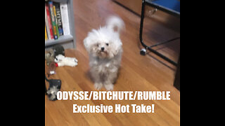 Rumble/Odysee/Bitchute Exclusive Hot Take News Blast! May 6th 2025