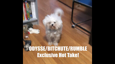 Rumble/Odysee/Bitchute Exclusive Hot Take News Blast! May 6th 2025