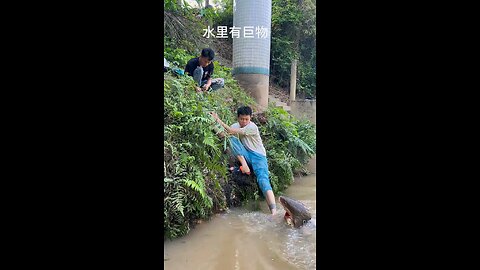 Man Bitten by Large Snake😱😱