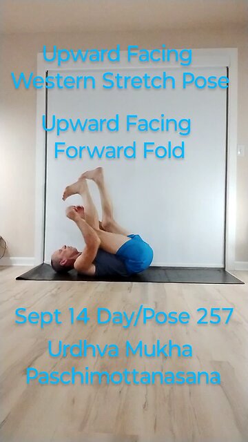 Urdhva Mukha Paschimottanasana / Upward Facing Forward Fold Pose