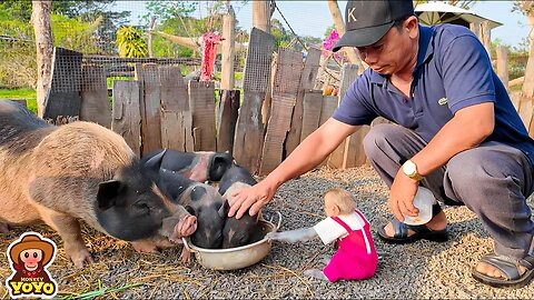 Smart monkey YiYi helps grandpa cook porridge to help the poor piglets