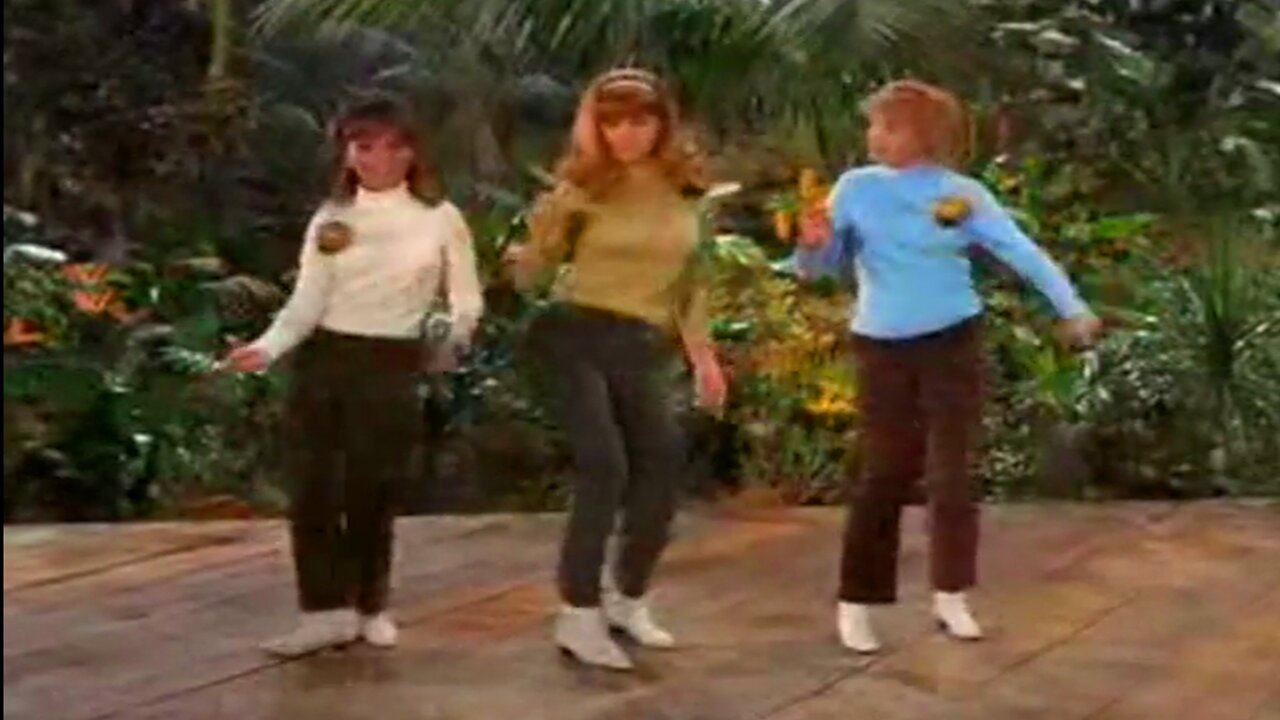 Liar, Liar (1965) The Honeybees