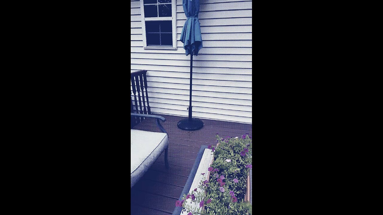 Victoria Cuglieri-Realtor®️