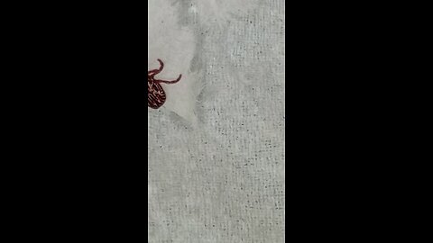 Tick Trash Talk