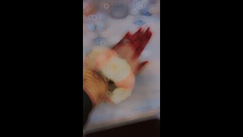 beautiful mehndi design
