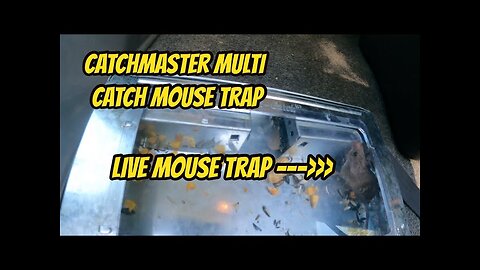 Catchmaster Multi Catch Mouse Trap (Works Great!!!)