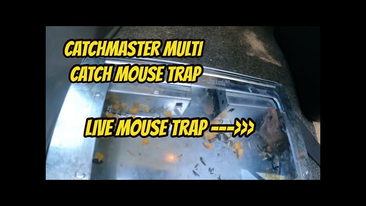 Catchmaster Multi Catch Mouse Trap (Works Great!!!)